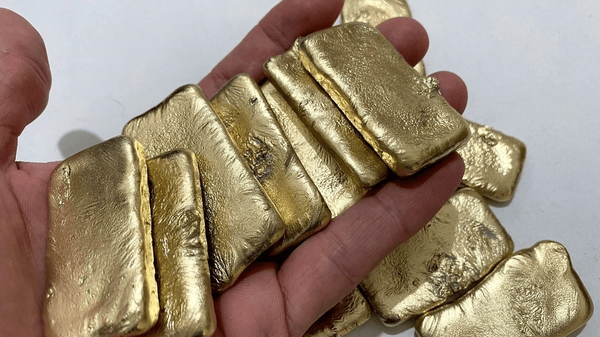 کوله‌پشتی طلایی لو رفت؛ پلیس ۲۵ قطعه شمش کشف کرد