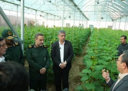 ۱۵۵۰پروژه «آبخیز تا جالیز» در کشور اجرا شد