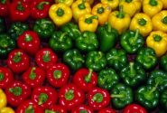 روسیه مقصد ۴۰ درصد محصولات گلخانه‌ای لرستان