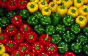 روسیه مقصد ۴۰ درصد محصولات گلخانه‌ای لرستان