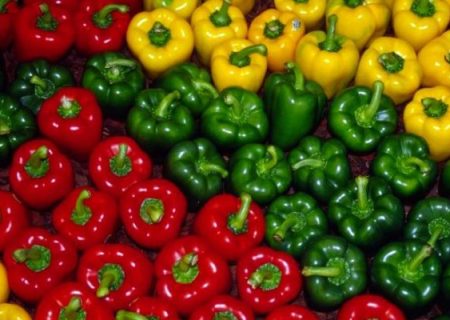 روسیه مقصد ۴۰ درصد محصولات گلخانه‌ای لرستان