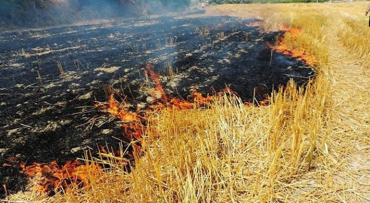 آتشزدن کاه و کلش مزارع لرستان ممنوع است